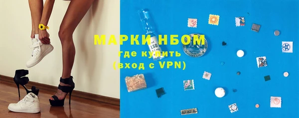 прущие грибы Балабаново