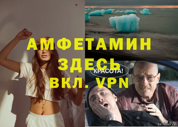 прущие грибы Балабаново