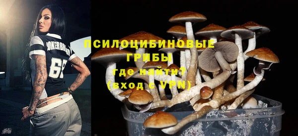 прущие грибы Балабаново