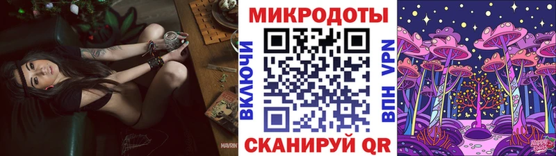 что такое   Щёлкино  Галлюциногенные грибы Cubensis 