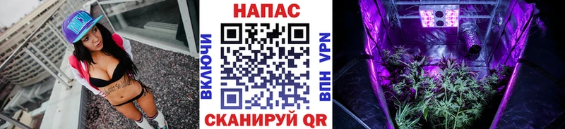 МАРИХУАНА конопля  Щёлкино 
